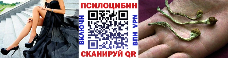 Купить закладки  Энем  Псилоцибиновые грибы Psilocybine cubensis 